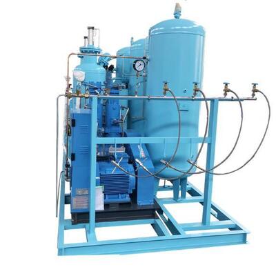 High Standard N2 Gas Separation Equipment Psa Nitrogen Generation Plant for Laboratory Use
